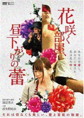 山雀与风在线观看